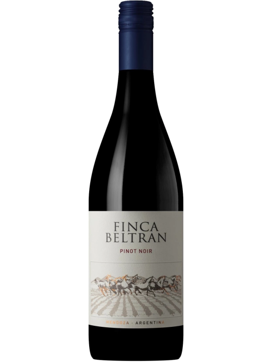 FINCA BELTRAN PINOT NOIR 2023 фото