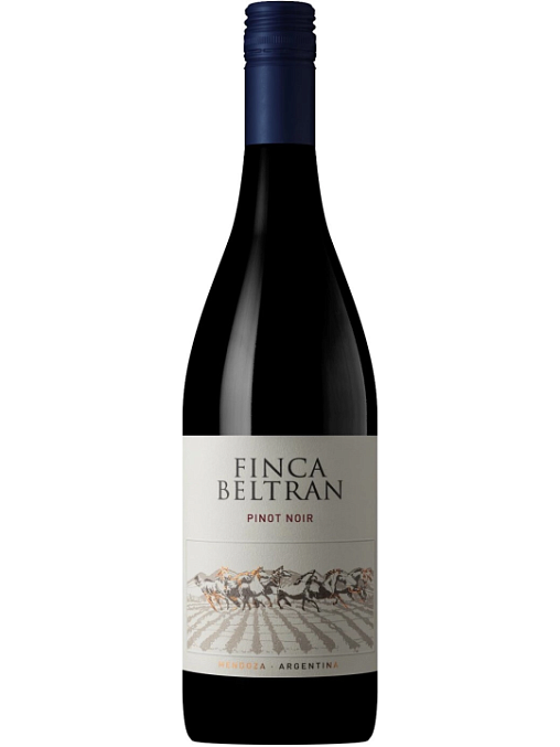 FINCA BELTRAN PINOT NOIR 2023 фото - 1