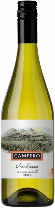 CAMPERO CHARDONNAY фото - 1