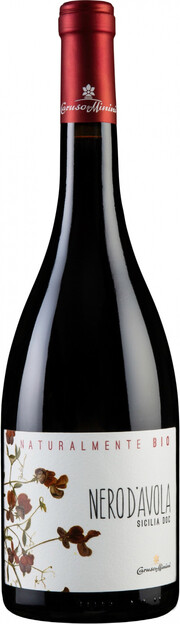 CARUSO MININI NERO D'AVOLA фото - 1