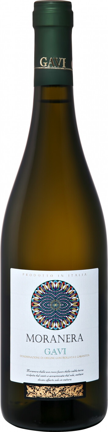 MORANERA GAVI фото - 1