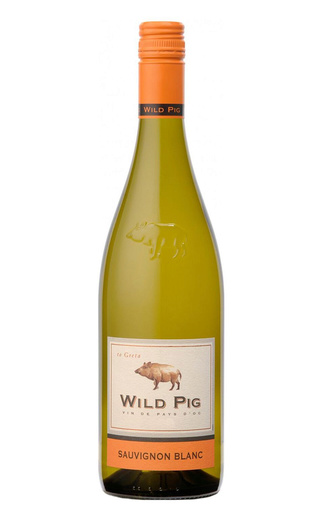 WILD PIG SAUVIGNON BLANC 2020 фото - 1