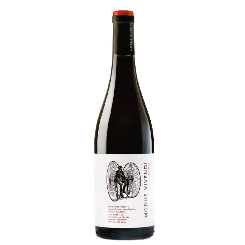 PAZO DE TOUBES MODUS VIVENDI MENCIA VALDEORRAS DO фото