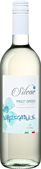 SILENE PINOT GRIGIO фото - 1