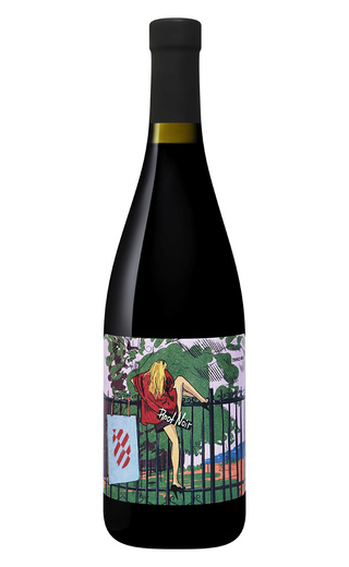VINODEL&SOMELIER PINOT NOIR фото - 1