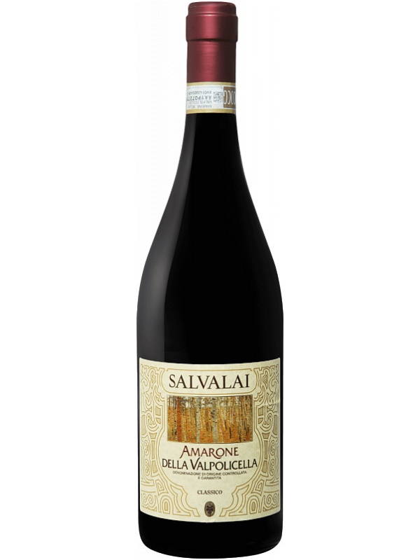 SALVALAI AMARONE DELLA VALPOLICELLA CLASSICO GERARDO CESARI 2015 фото