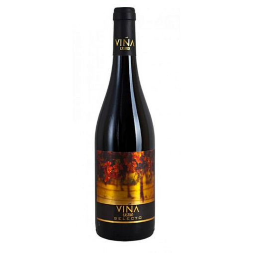 VINA CASTRO TEMPRANILLO SYRAH фото - 1