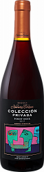 COLLECCION PRIVADA PINOT NOIR MENDOZA NAVARRO CORREAS 2020