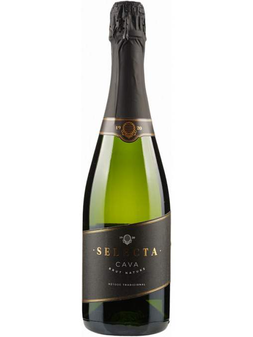 CAVAS MASACHS SELECTA BRUT NATURE фото - 1