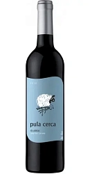 PULA CERCA TINTO LISBOA IG 2022
