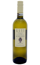 TERRE ANTICA DI GIUSTINIANA GAVI DI GAVI 2015