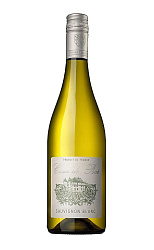 COUR DE POCE ANJOU BLANC