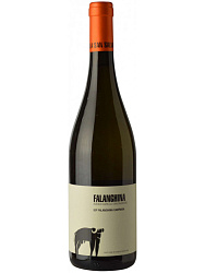 SAN SALVATORE FALANGHINA 2020