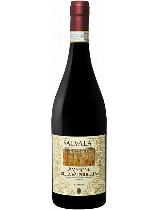 SALVALAI AMARONE DELLA VALPOLICELLA CLASSICO GERARDO CESARI 2015 фото - 1